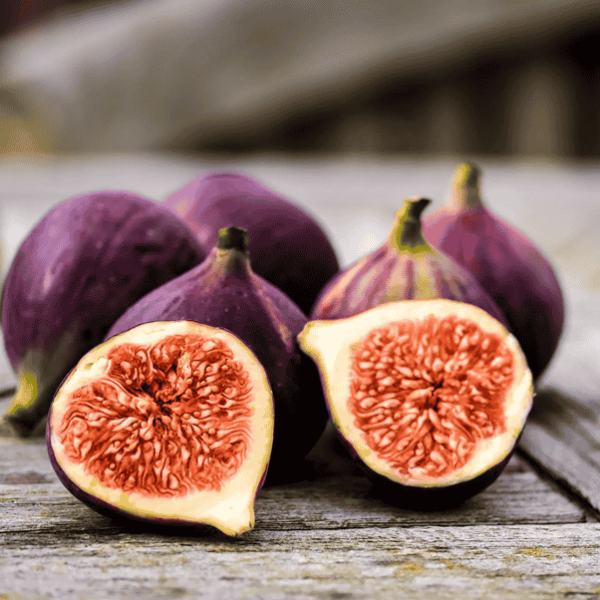 Aged Black Mission Fig