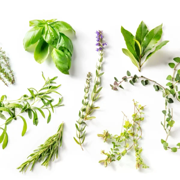 Herbes de Provence Infused Olive Oil