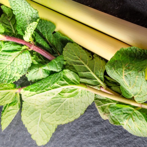 Lemongrass-Mint White Balsamic