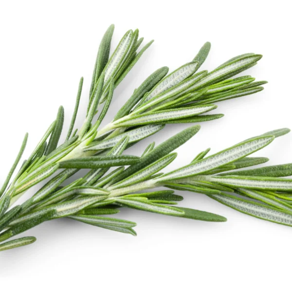 Rosemary Fused Olive Oil
