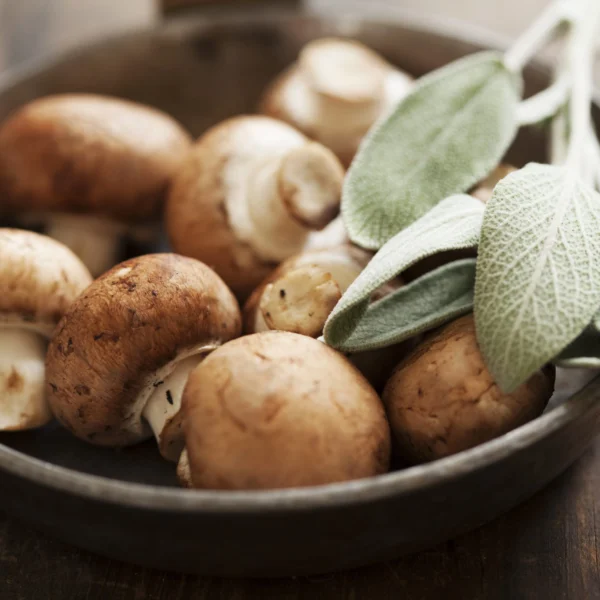 Wild Mushroom & Sage Infused Olive Oil