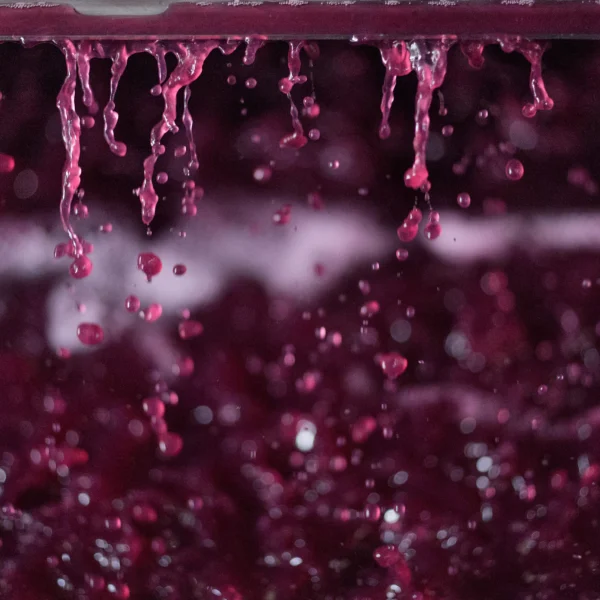 Organic Red Wine Vinegar